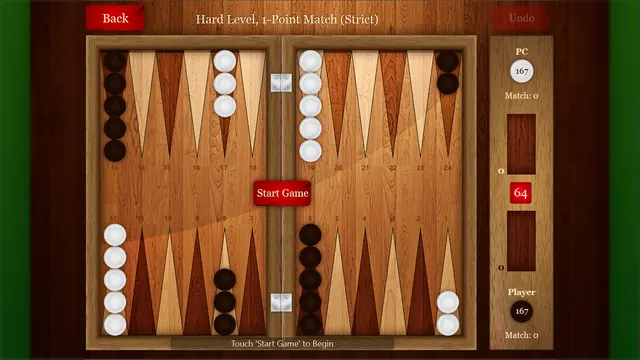 Backgammon Pro: Board at the start of a match